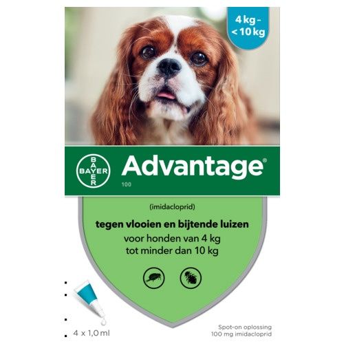 Hond 100 1 ml 4 pip