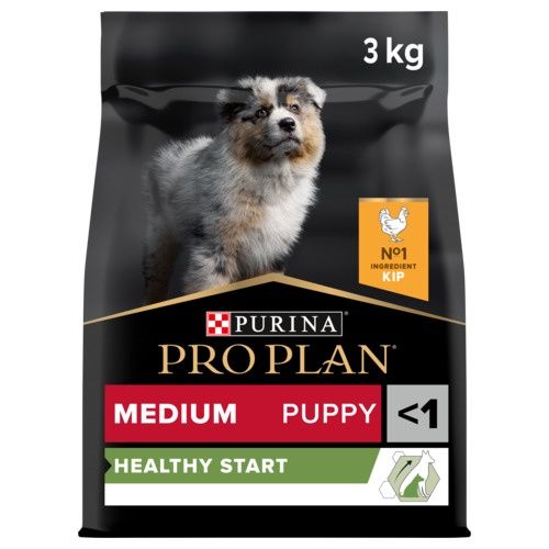 Dog puppy medium 3 kg Kip