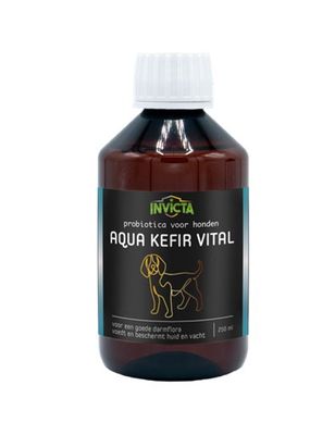 Invicta Aqua Kefir Vital hond 250ml