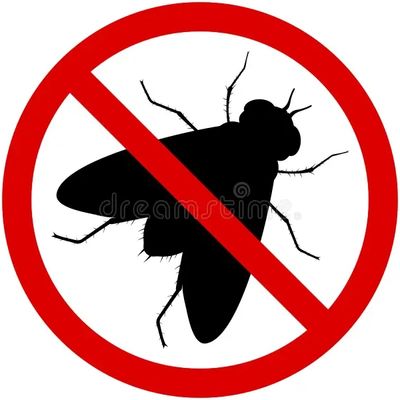 Insecten