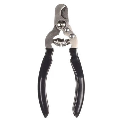 Nagelknipper Dino