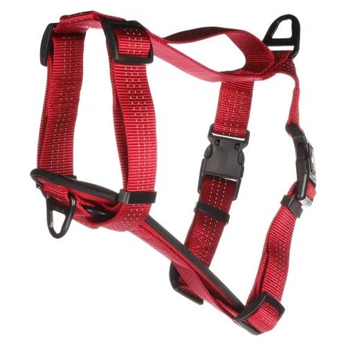 Harnas Zorba, Colour: Rood, Afmeting: M | A:36-52cm B:55-75cm x 32mm x 3mm