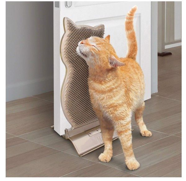 Connects Kitty Comber