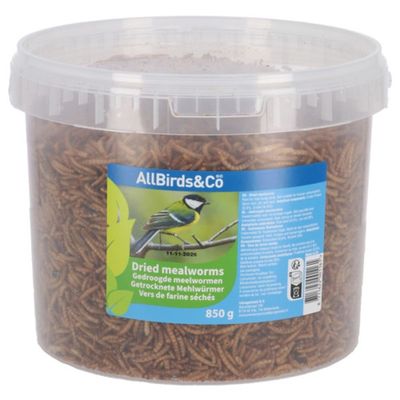 Gedroogde meelwormen in emmer 850 g