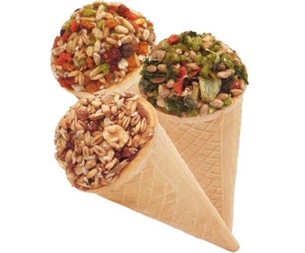 Krokante cornetto voor knaagdieren