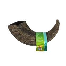Natuurlijke snack ramshoorn