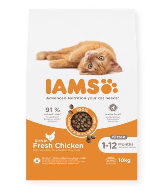 Iams Cat kitten  Kip