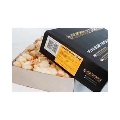 Diepvries 1 dagskuikens 1 kilo
