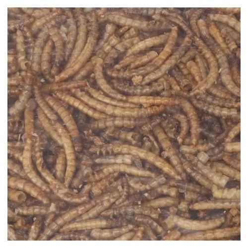 Gedroogde  Meelwormen  300gr