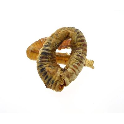 Runderluchtpijp gebogen