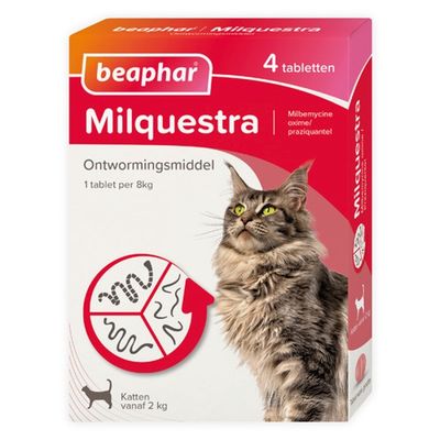 Milquestra kat 4 tab Rund Milquestra kat 4 tab Rund