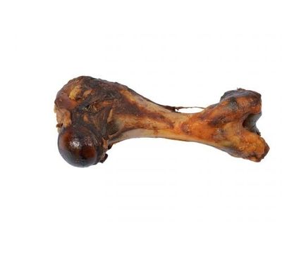 Mini Dino/Varkensbot á 18 cm