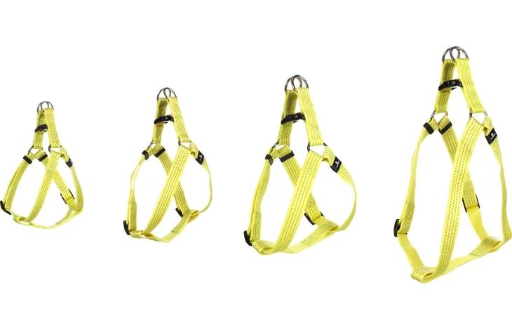 Looplijn / Harnas / Halsband Len Geel