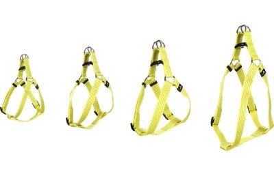 Looplijn / Harnas / Halsband Len Geel