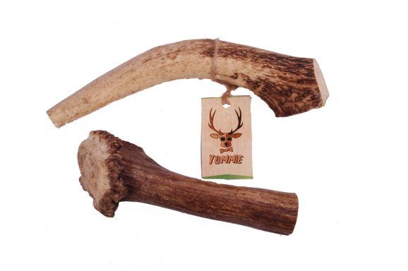 Hertengewei, Maat: L  150-225 gr