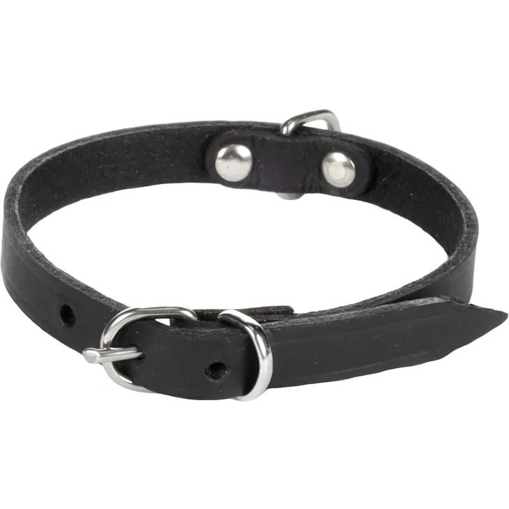 Halsband Seattle Zwart, Afmeting: XS, S | 23-26cm x 10mm x 5mm