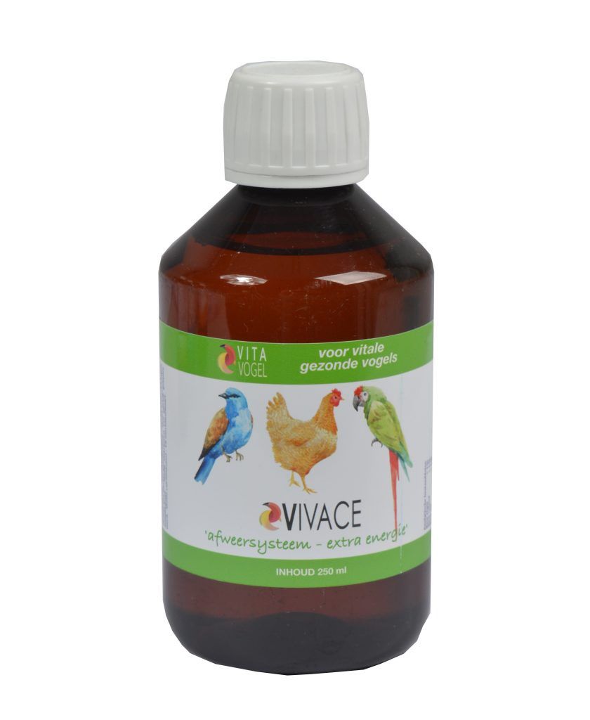 Vivace Energy Boost Vita Vogel, Hoeveelheid: 250ml