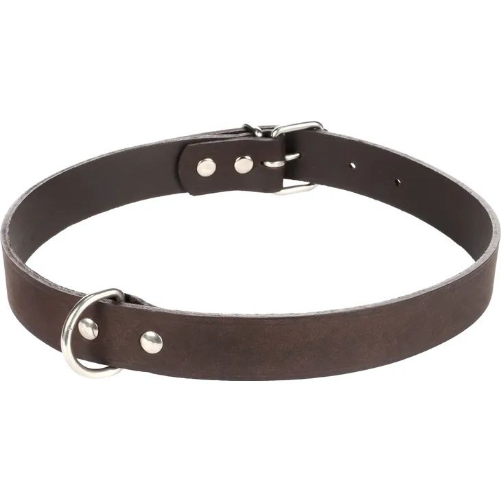 Halsband Seattle Donkerbruin, Afmeting: XL | 46-54cm x 25mm x 5mm