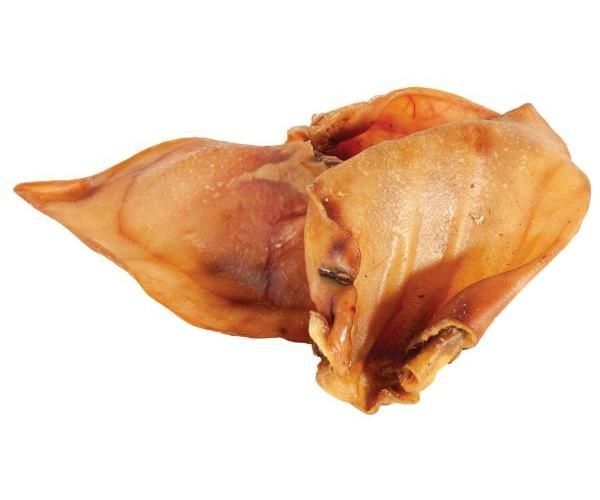 Varkensoren