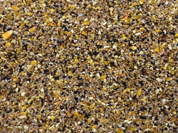 Mussenzaad, Gewicht: 1 kilo