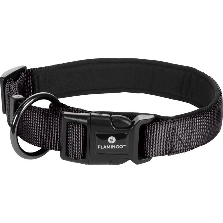 Halsband Abbi Zwart, Afmeting: L | 50-55cm x 25mm x 2mm