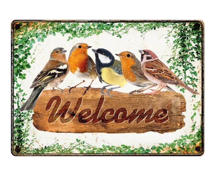 Bord blik Welcome Birds