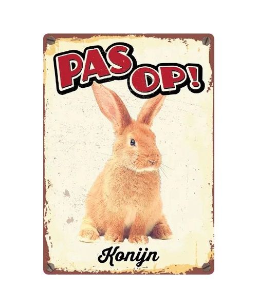 Bord Blik Konijn