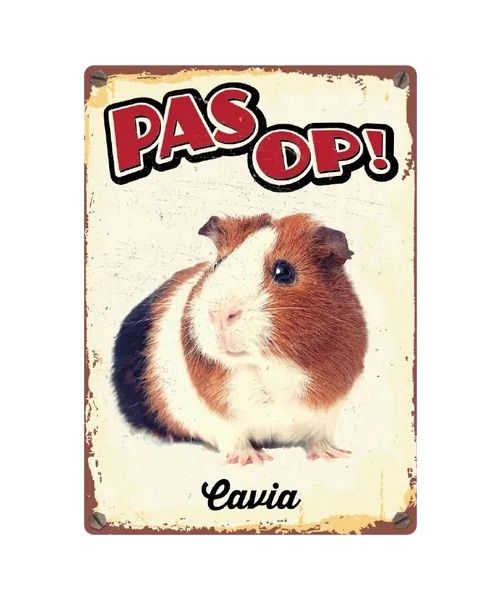 Bord Blik Cavia