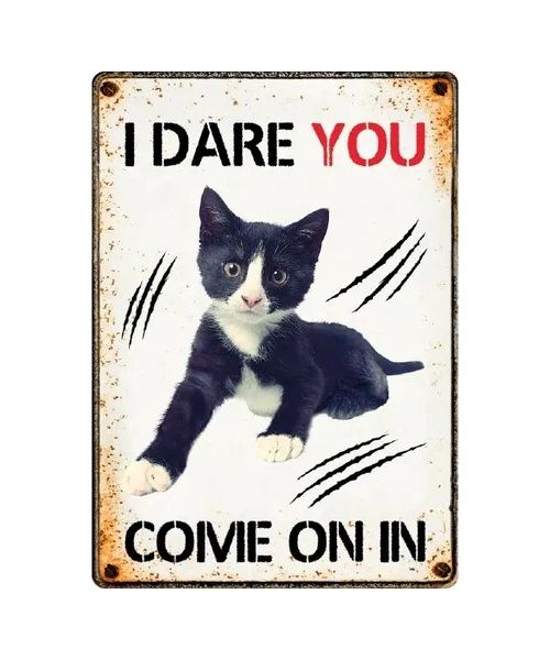 Bord blik I Dare you come on in