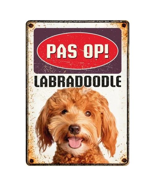 Bord Blik Labradoodle