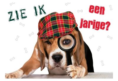 Kaart A5 Zie Ik Een Jarige?