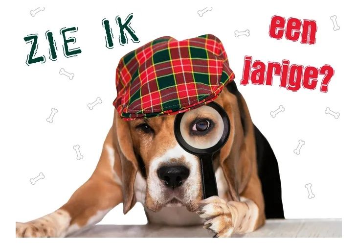 Kaart A5 Zie Ik Een Jarige?