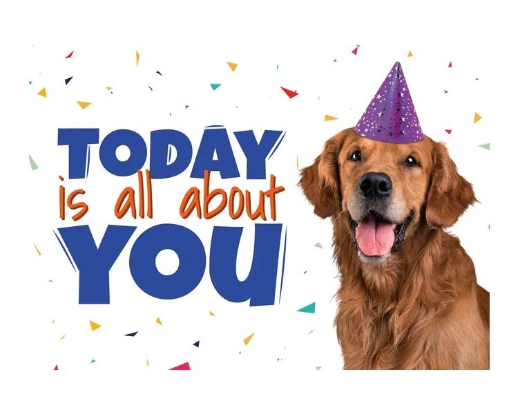 Kaart A5 Today Is All About You