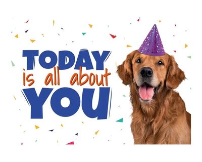 Kaart A5 Today Is All About You