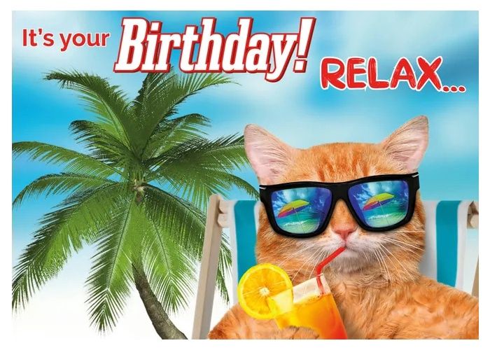 Kaart A5 Relax Orange Cat