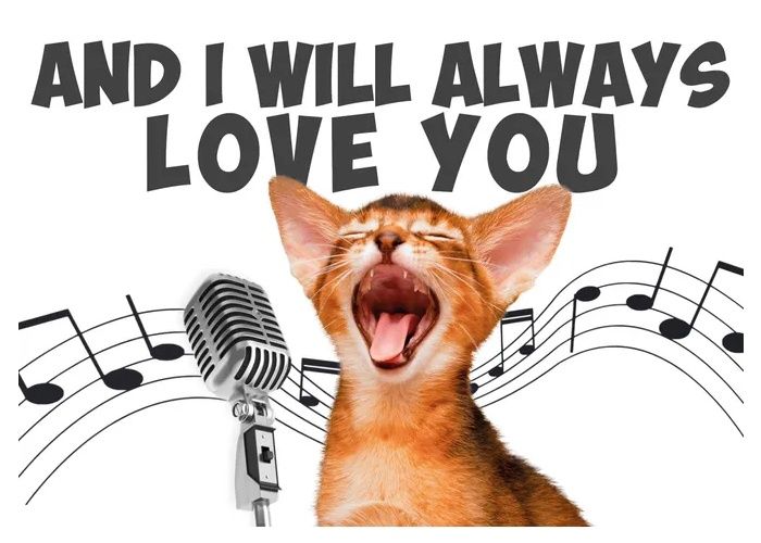 Kaart A5 I Will Always Love You