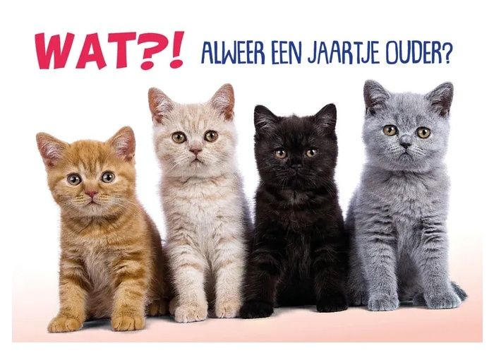 Kaart A5 Jaartje Ouder Kittens