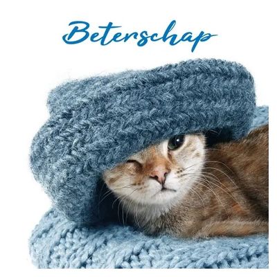 Kaart Beterschap Kitten