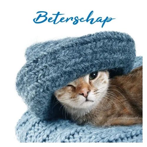 Kaart Beterschap Kitten
