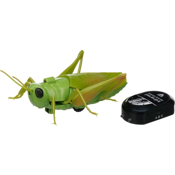 Crawla Sprinkhaan Groen