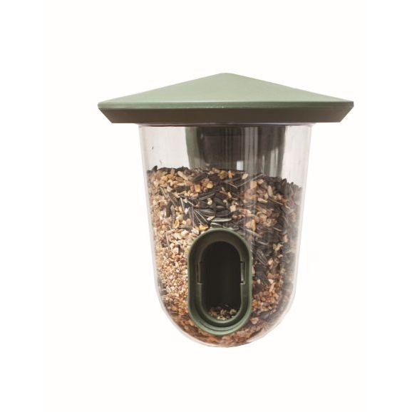 Feeder Singing Friend