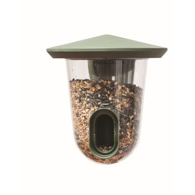 Feeder Singing Friend
