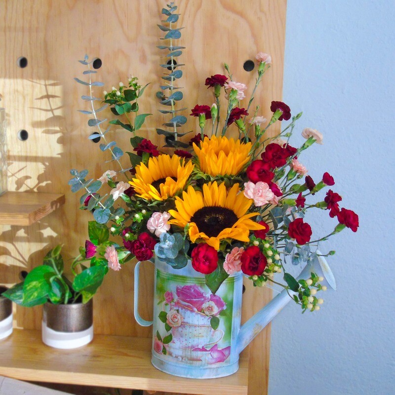 Girasoles en regadera