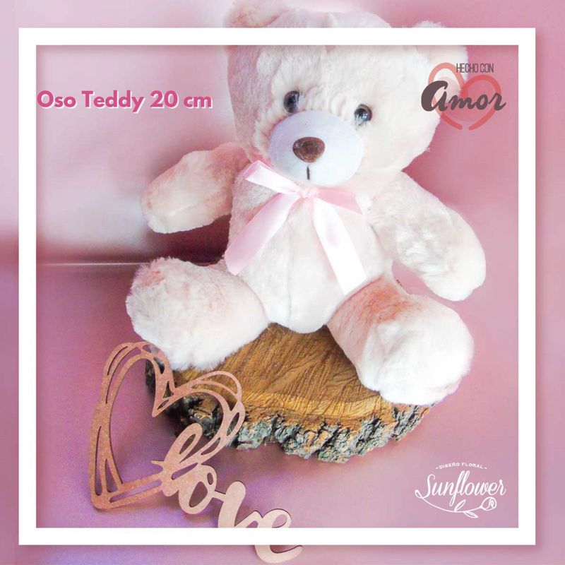 Oso Teddy rosa