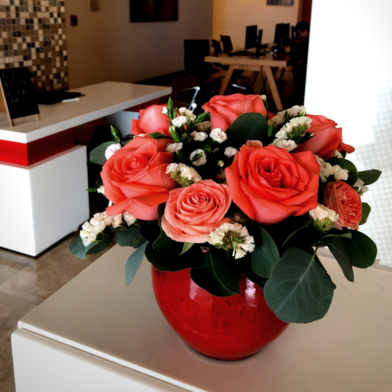 Jardín de Rosas