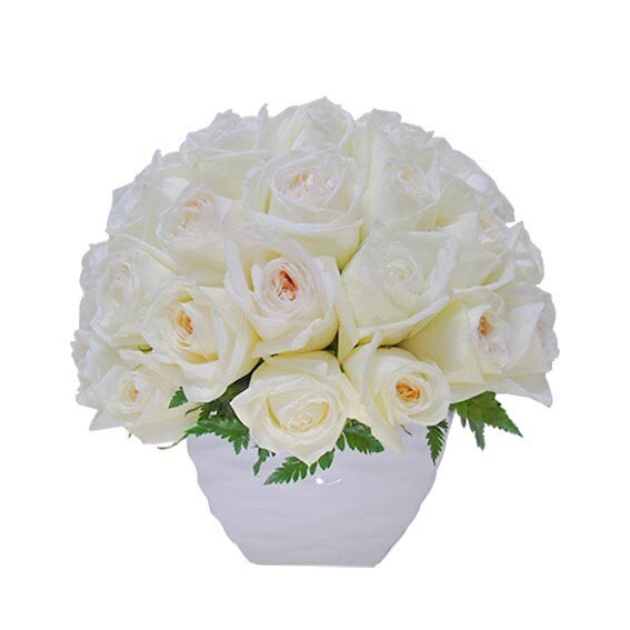 Capullo de rosas