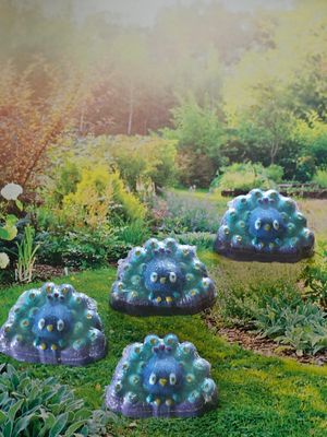 Peacock Bath Bomb