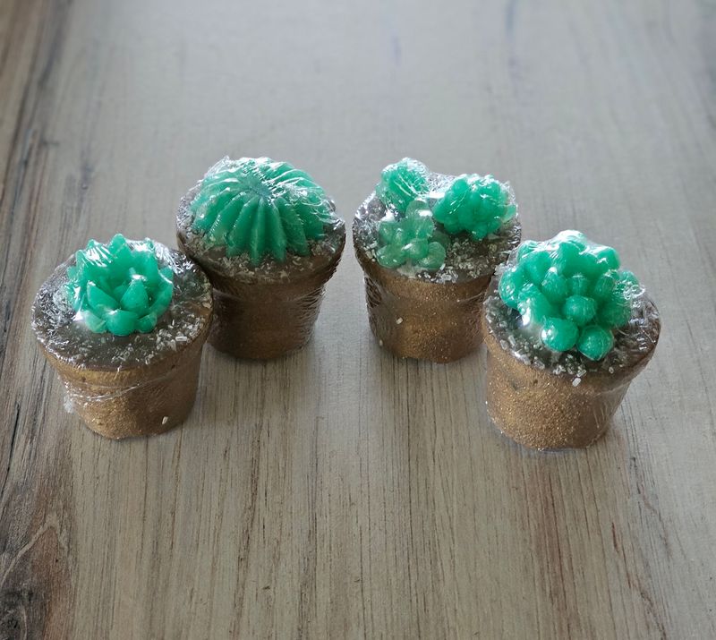 Succulent Bath Bomb