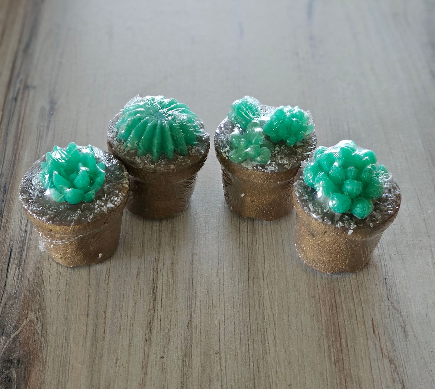 Succulent Bath Bomb