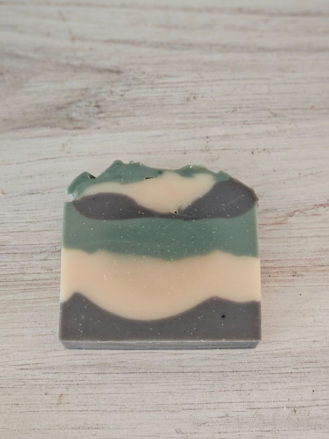 Black Coral Moss Bar Soap - Goat Milk